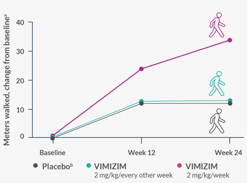 Vimizim Improved Endurance At 6 Months - Placebo, transparent png