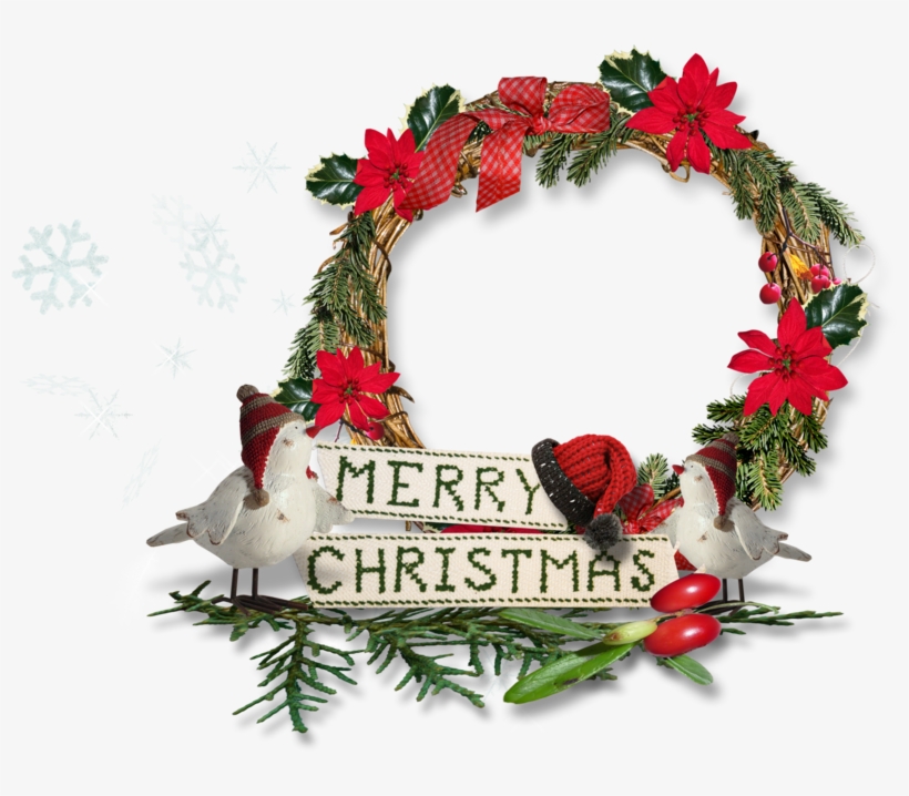 Christmas Flowers Poinsettia Frames - Christmas Day, transparent png