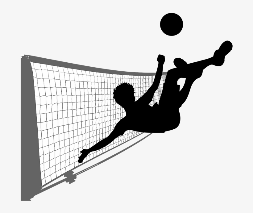 Se Juega En Un Espacio Rectangular Dividido Por Una - Wilson Ez Tennis Net, 10-feet/, transparent png