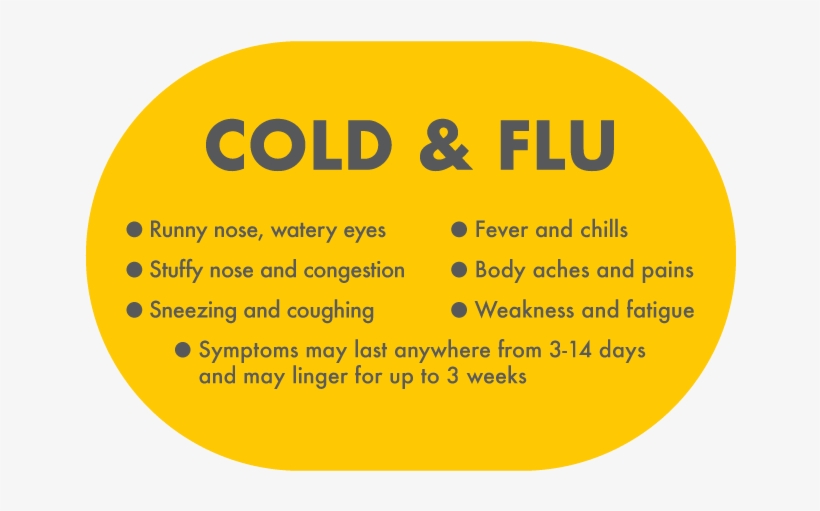 Cold And Flu Symptoms - Cold Flu Symptoms, transparent png