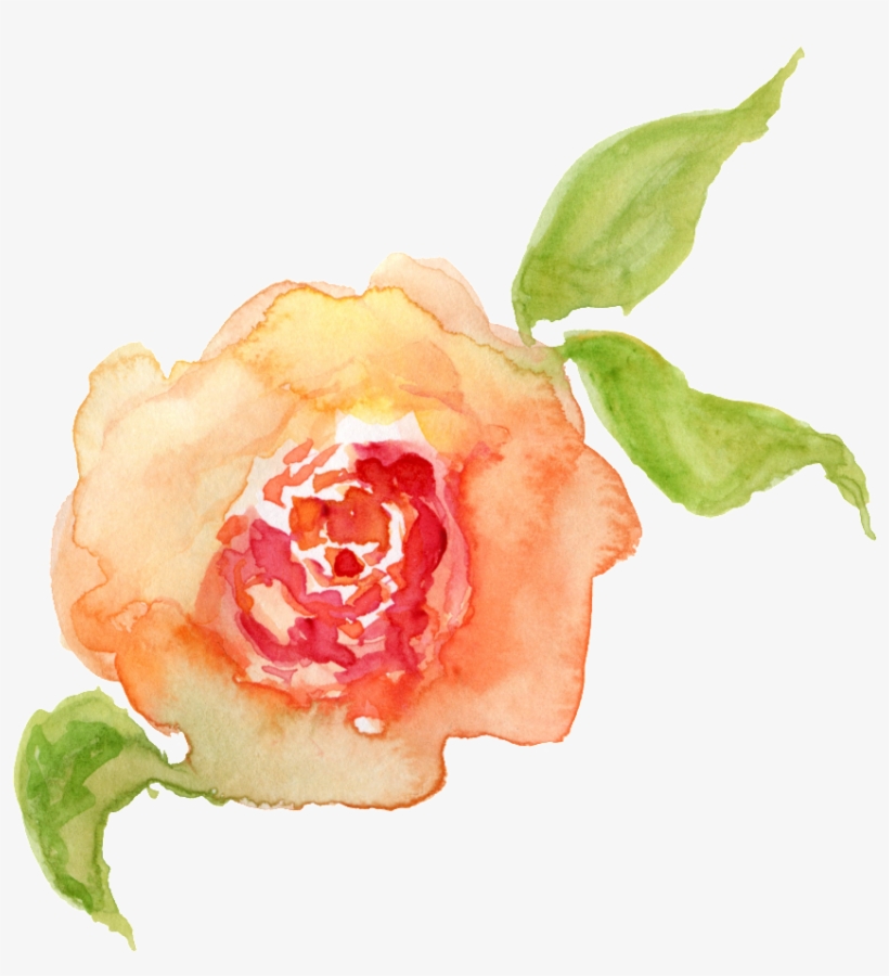 Water Saffron Transparent Decorative - Portable Network Graphics, transparent png