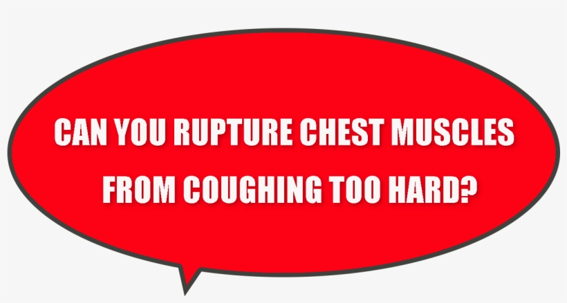 Pain Near Rib Cage Muscles When Coughing - Yu No Guy, transparent png