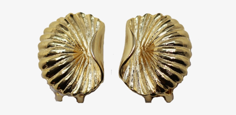 Scallop Earrings - Earrings, transparent png