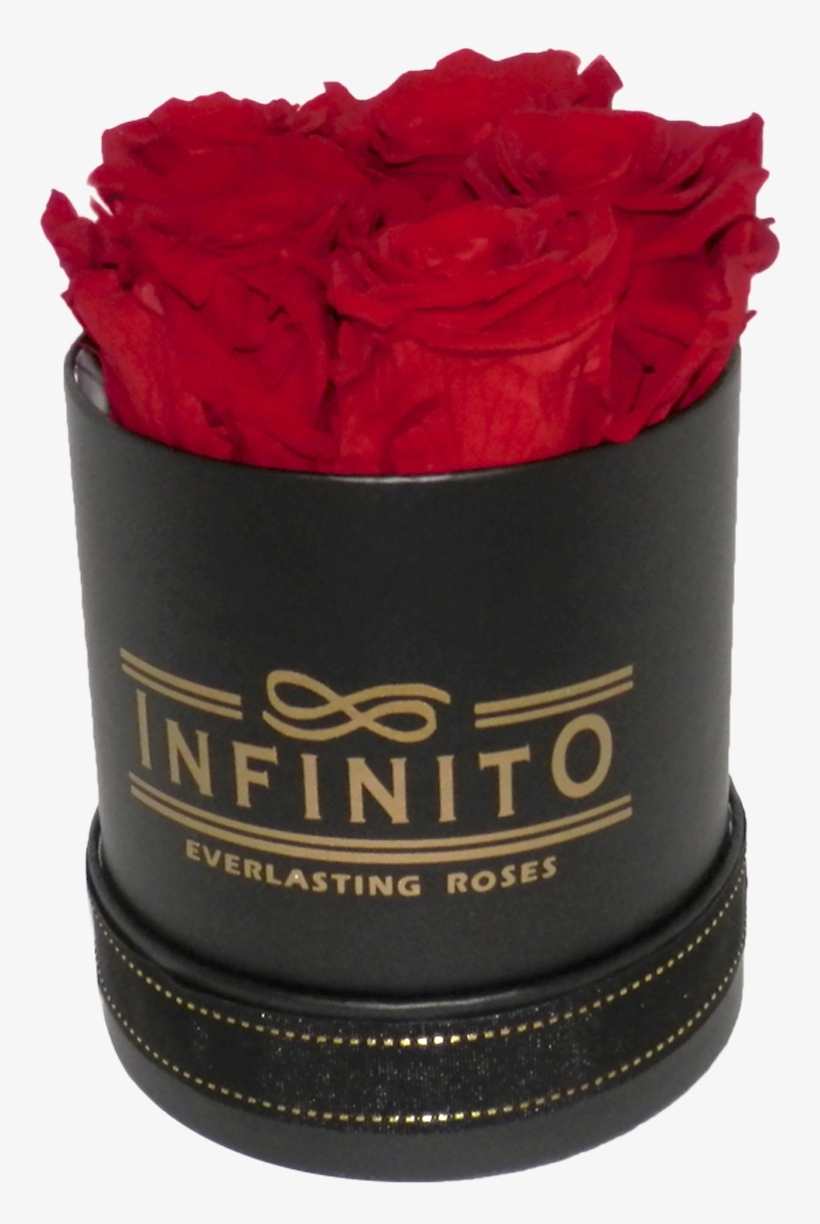 Infinito Petite Round Box - Box, transparent png