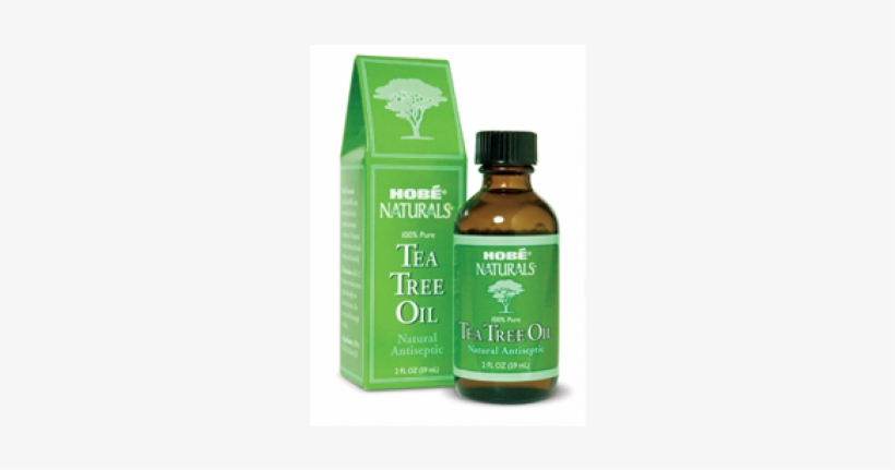 Tea Tree Oil - Tea Tree Oil Price In India, transparent png