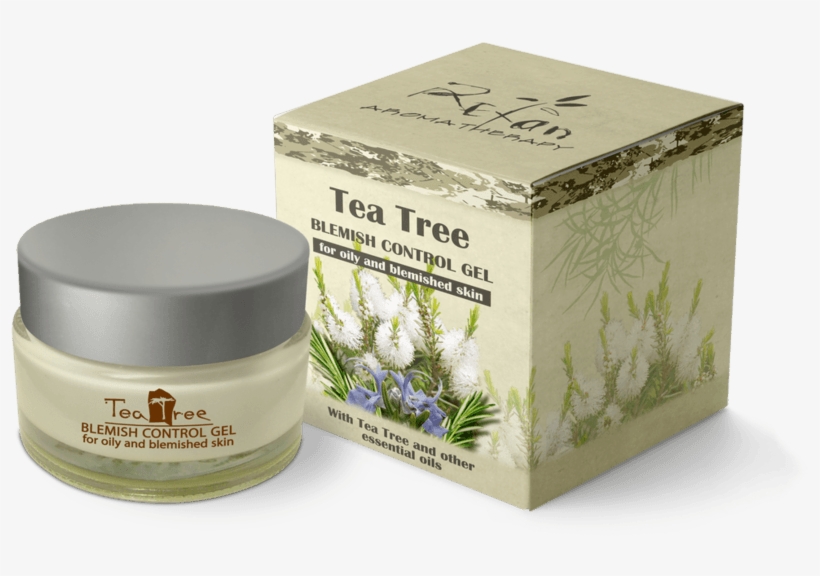 Tea Tree - Narrow-leaved Paperbark, transparent png
