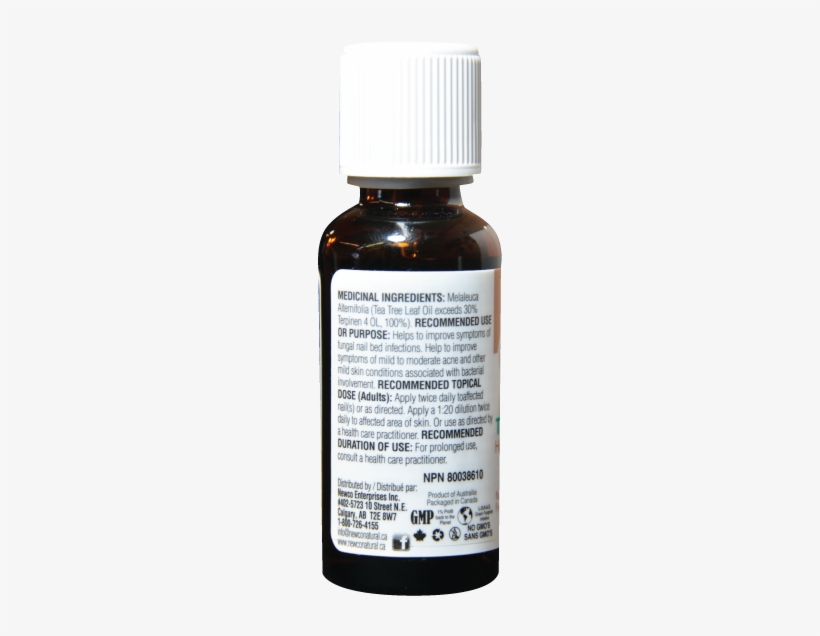 Tea Tree Oil Regular - Tea, transparent png