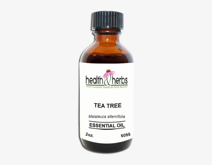 Tea Tree, Essential Oil - Alternative Health & Herbs Remedies Mullein Oil, transparent png