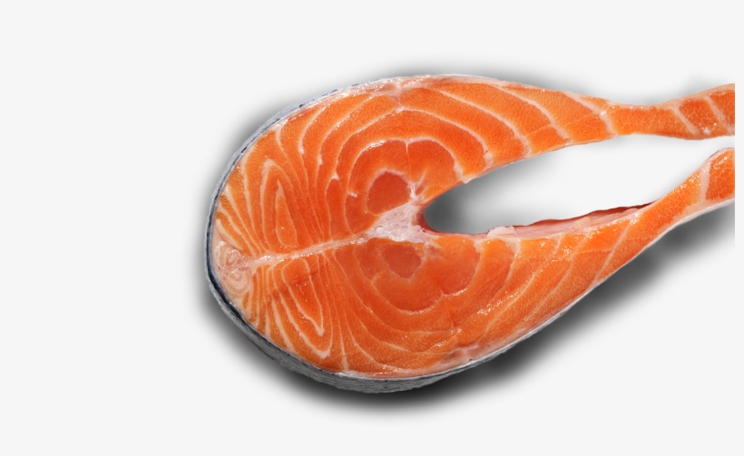 Ingredient Story Protein - Ingredient, transparent png