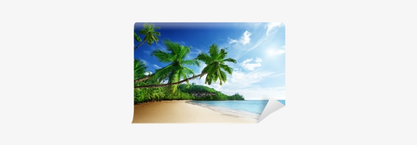 Chois Custom Wall Murals Wallpaper Desinger Home Art, transparent png