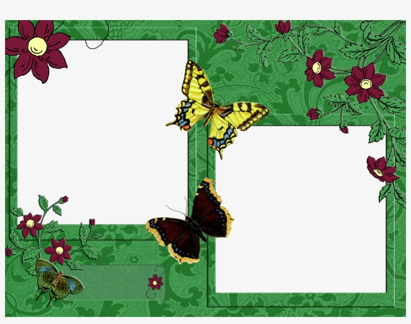 Marcus Jules - Butterfly Canvas, transparent png