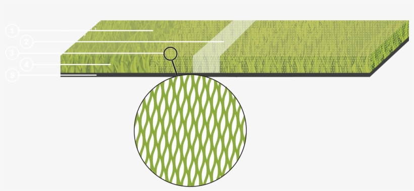 Image Description - Circle, transparent png