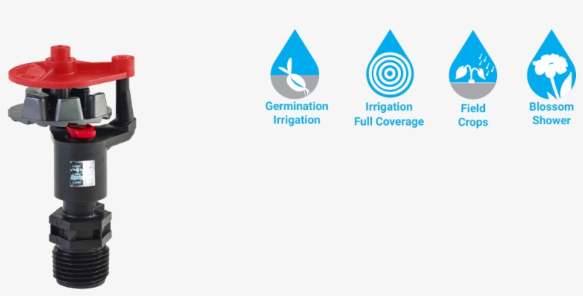 Feature And Specifications, transparent png