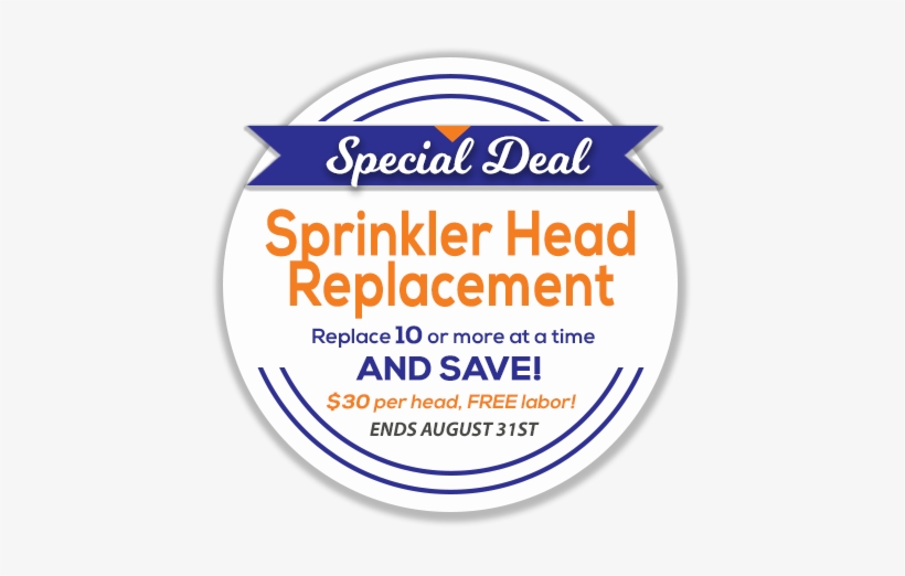 Schedule An Appointment - Zaporizhia, transparent png