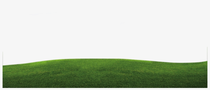 Good Day - Lawn, transparent png