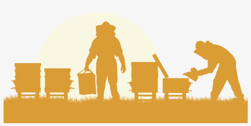 Honey Bee Viruses, The Deadly Varroa Mite Associates - Une Ruche En Ville, C'est Possible !, transparent png