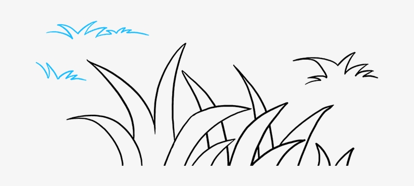 How To Draw Grass - Drawing, transparent png