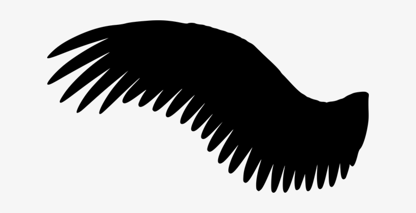 Wing, Silhouette - Asas Pretas Em Png, transparent png