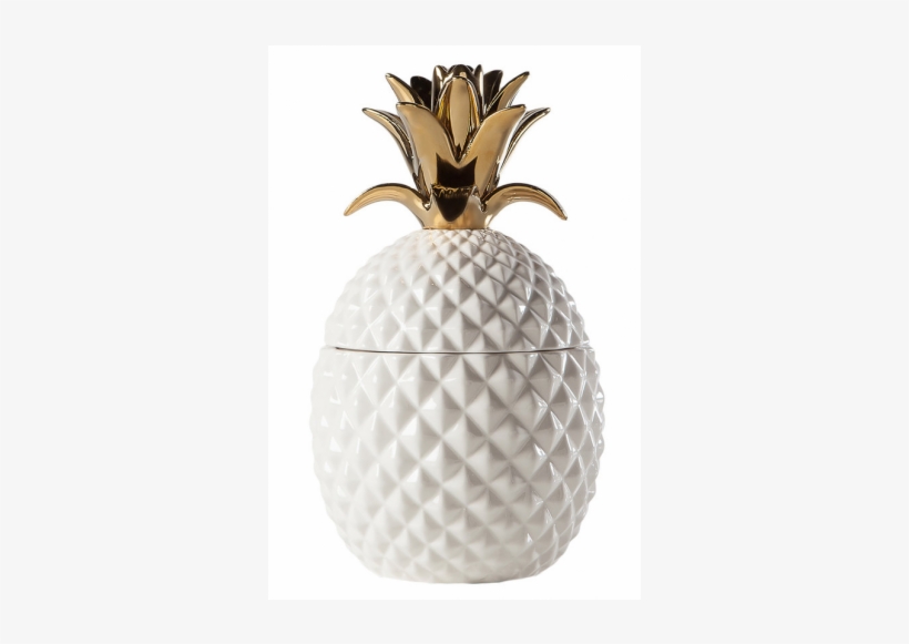 White Canisters By Torre & Tagus - White, transparent png
