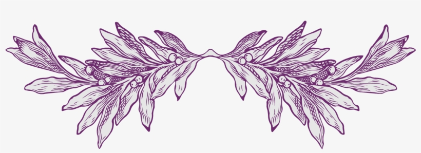 Divider - Feather Divider, transparent png