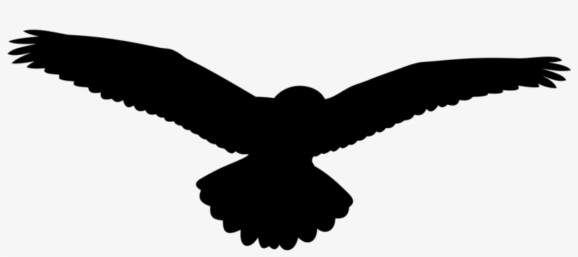 Birds,the Silhouette, - Stock.xchng, transparent png
