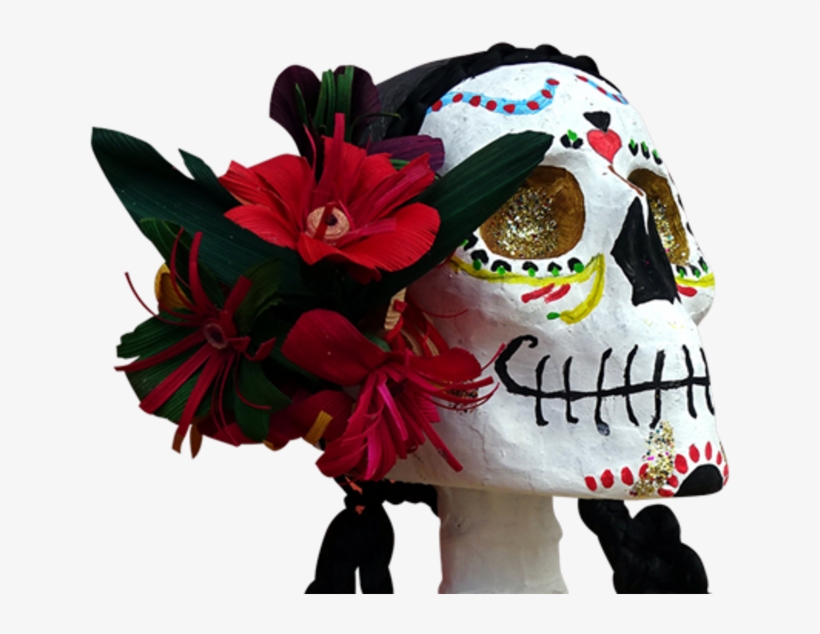 Cultural Groups Criticized People For Dressing Up As - Zazzle Schöne Und Stolze Dod-fleece-decke Fleecedecke, transparent png