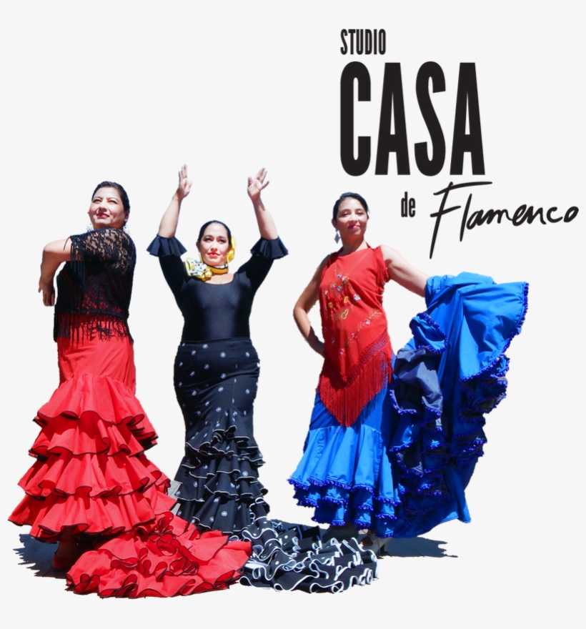 At Studio Casa De Flamenco - Flamenco, transparent png