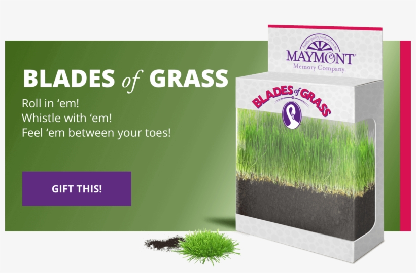 Blades Grass Cta Mobile - Vote Yes Transit Referendum, transparent png