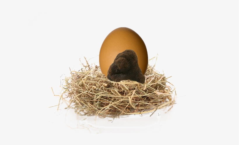 Huevo Trufado Sobre Nido Paja - Egg, transparent png