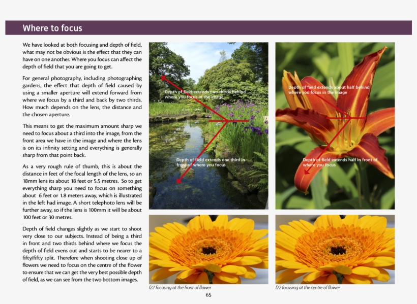 Joomla Plugins - Sunflower, transparent png