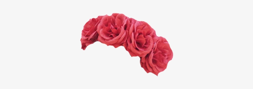 Flower Crown Photo Editor - Roses Flower Crown Png, transparent png