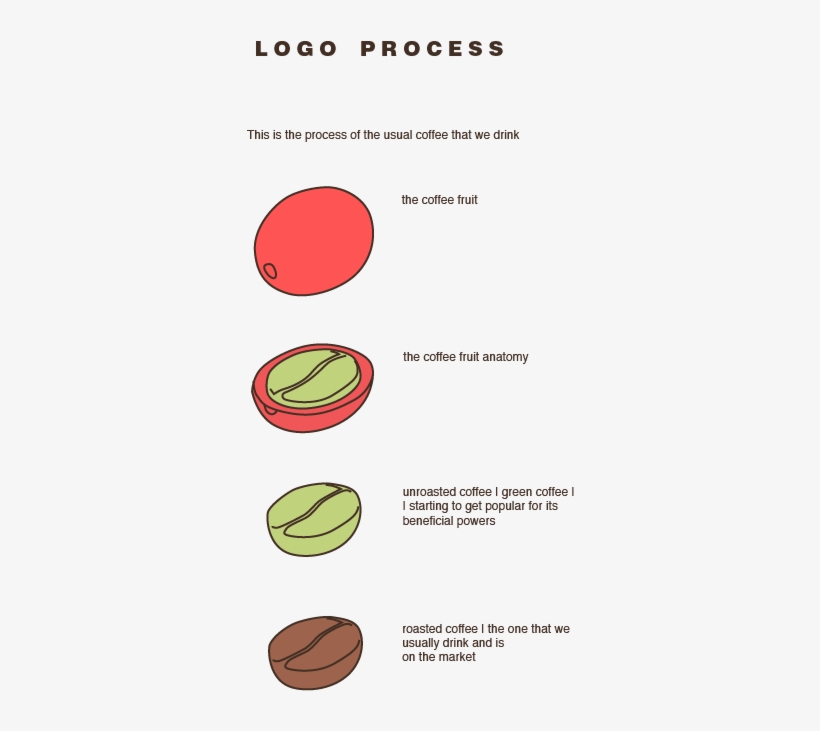 The Plan Of The Coffee Fruit, Starting From The More - Anatomy Of Coffee Fruit, transparent png