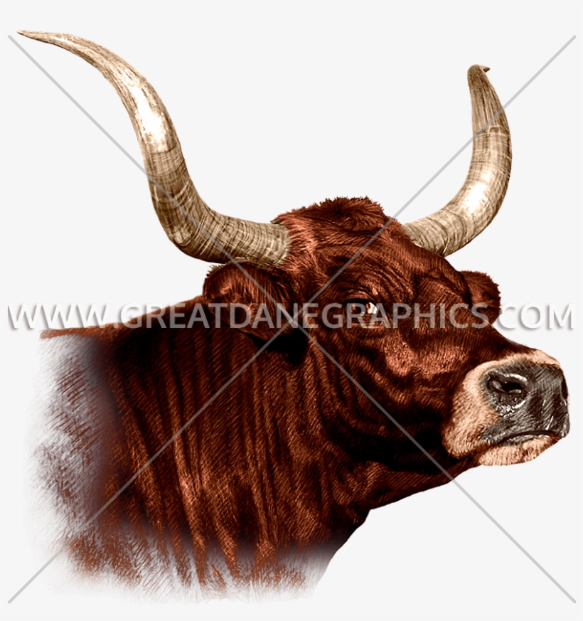 Bull, transparent png