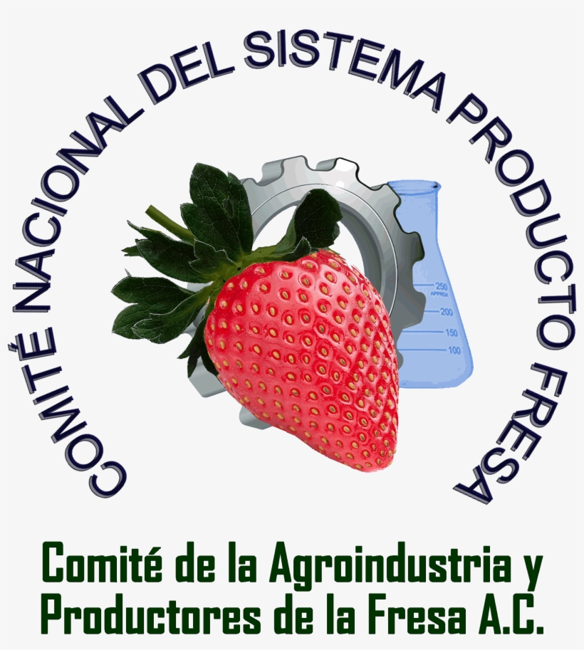 Consejo Nacional De La Fresa A - Baja California, transparent png
