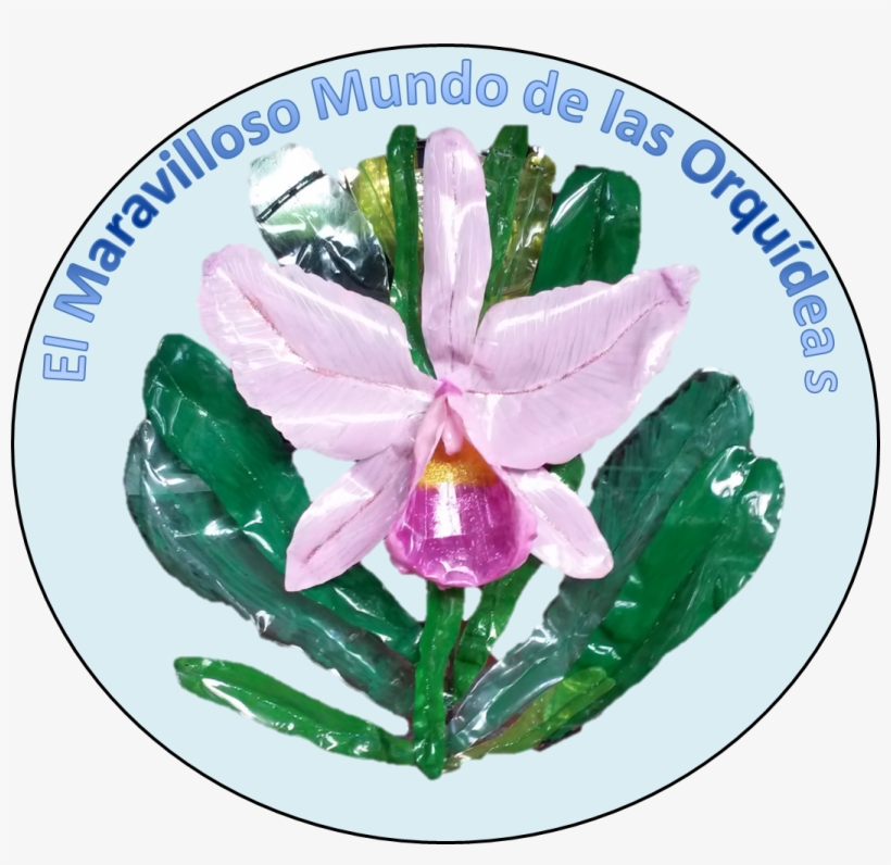 Semillero El Maravilloso Mundo De Las Orquideas - Innovation, transparent png
