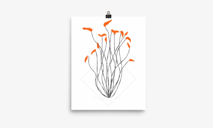 “ocotillo” Print - Sonoran Desert, transparent png