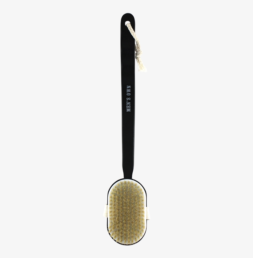 Brush, transparent png