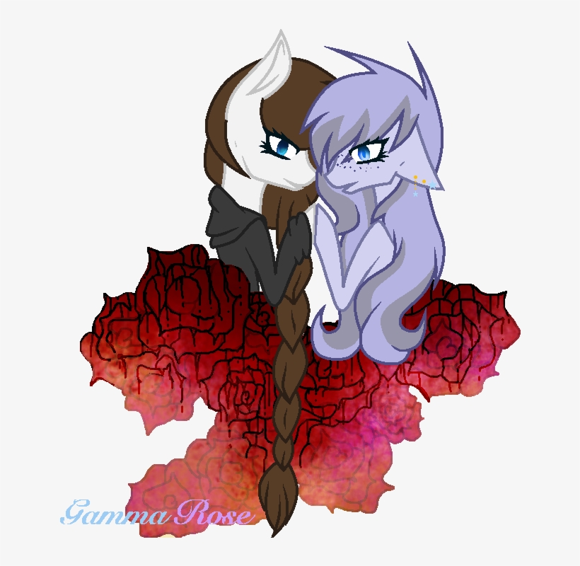 Photograph, transparent png