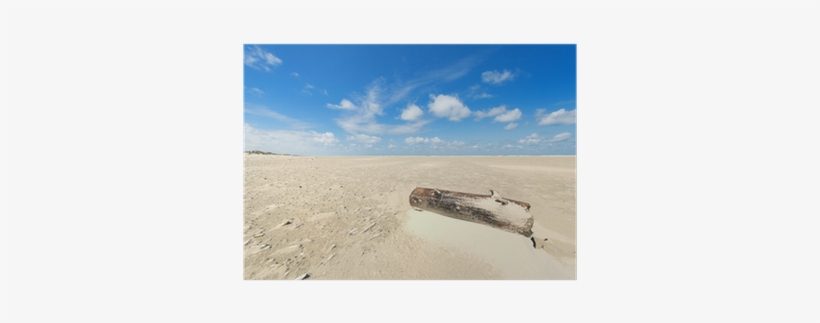 Photograph, transparent png