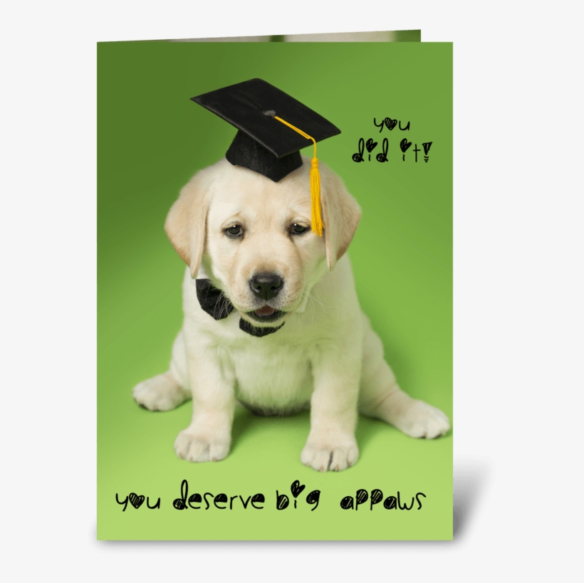 Big Appaws Graduation Dog Greeting Card - Stickers Citation All You Need Is Love, transparent png