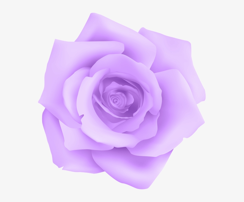 Rose Purple Transparent, transparent png