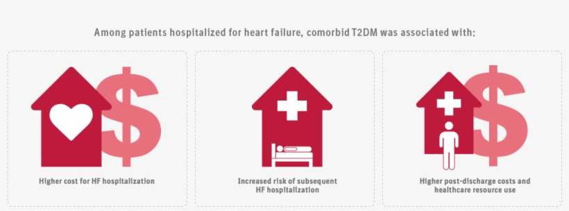 Incremental Burden Of Type 2 Diabetes - Red, transparent png