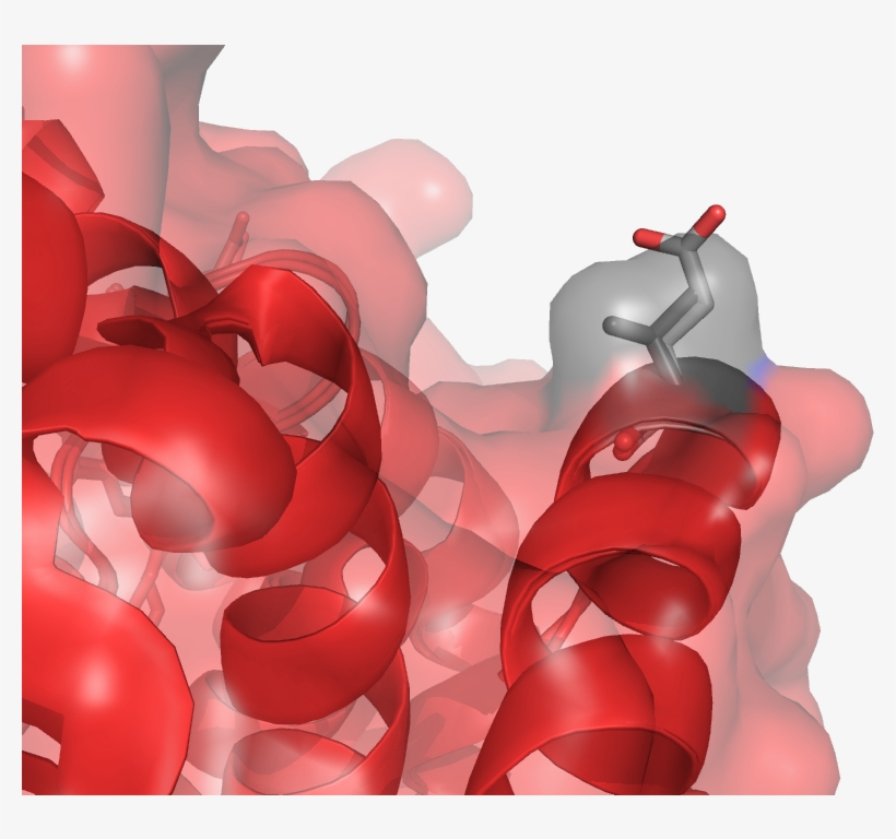 In The Beta Globin Chain - Illustration, transparent png