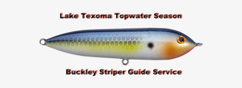 Texoma Topwater Season - Season, transparent png