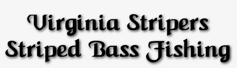 By The Shad Taxi Striper Guide Service - Striped Bass, transparent png