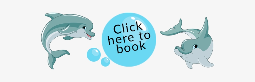 Booking Information - Stickers Didi Et Jacky Les Dauphins, transparent png