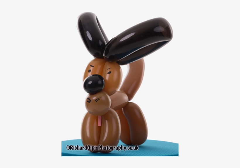 Balloon Models Dog - Balloon Modelling, transparent png