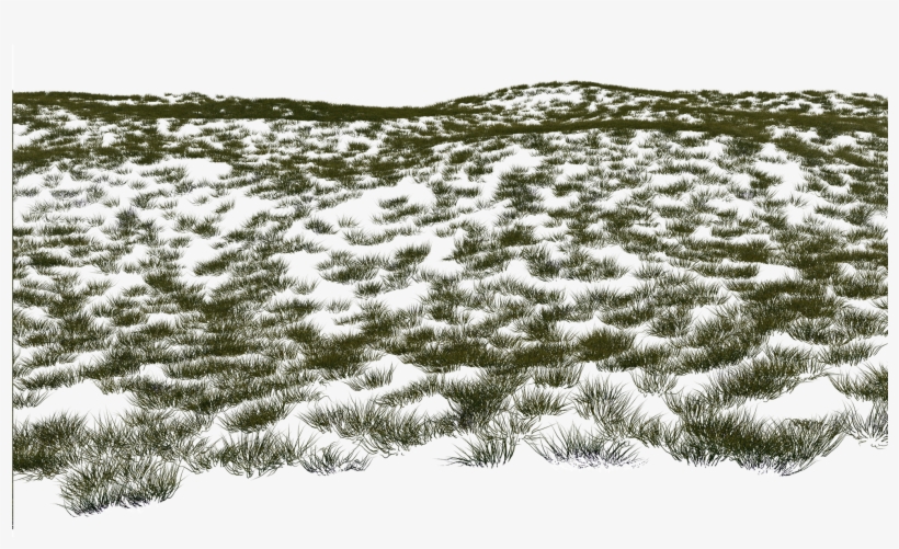 Grass B Flat 3 (for Permeable Ground Covers) - Snow, transparent png