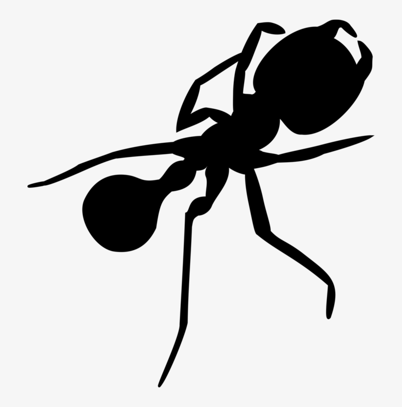 An Ant Insect Silhouette Arthropod - Ant Silhouette Png, transparent png