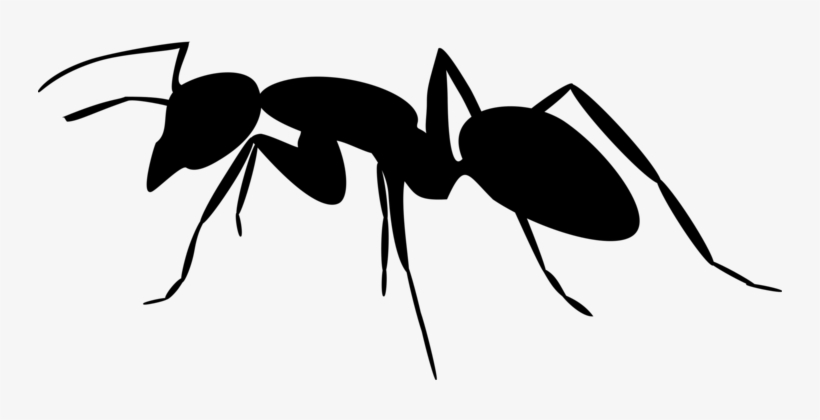 Carpenter Ant Insect Silhouette - Ant Silhouette Png, transparent png